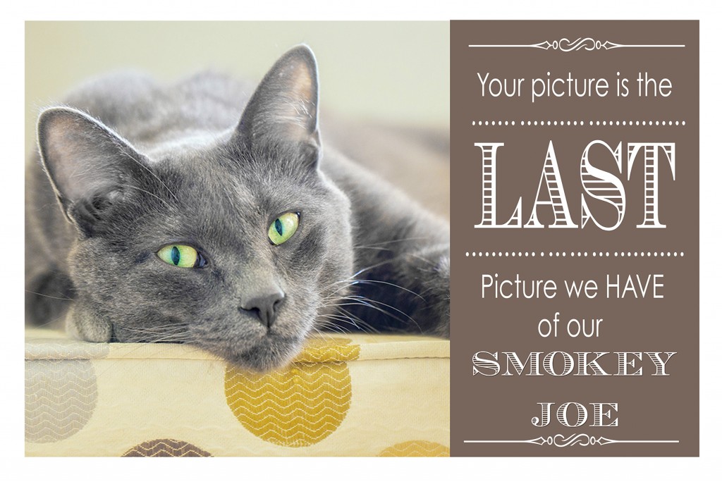 Smokey Joe Last Picture-web2
