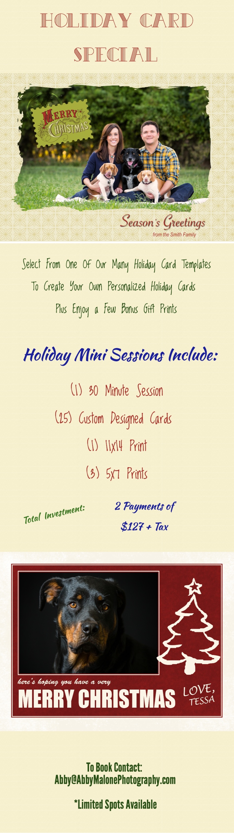 Holiday Cards 3