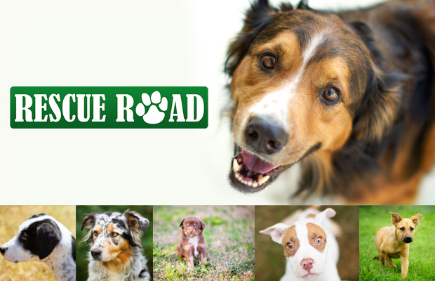RescueRoad