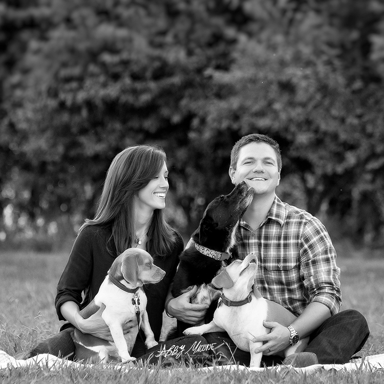 Greenbrier AR Dog Photographers