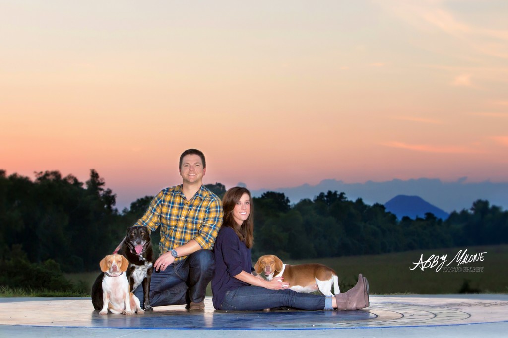 Best Dog Photographers in Little Rock AR