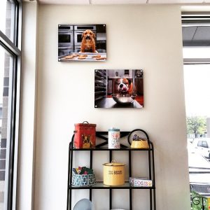 Commercial Photographers in Arkansas