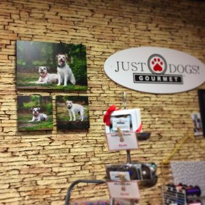 Commercial Pet PHotographers