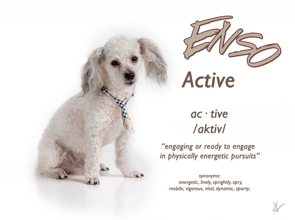 E42A5878-3 web