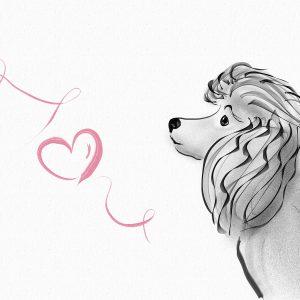 Poodle Art